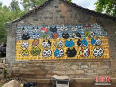 太行山深处，200多只“喵星